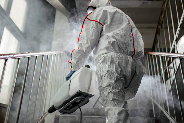 Best Biohazard Mold Removal  in Batesville, TX